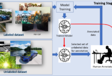 Levels of Supervision in Deep Learning