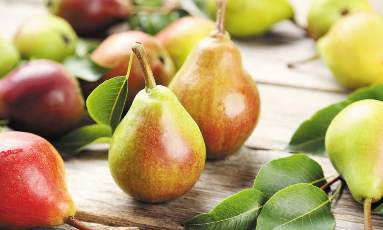 Have you ever wondered why do pears have a gritty texture?