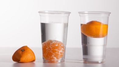 Did you know that an unpeeled orange floats on water while a peeled orange sinks?