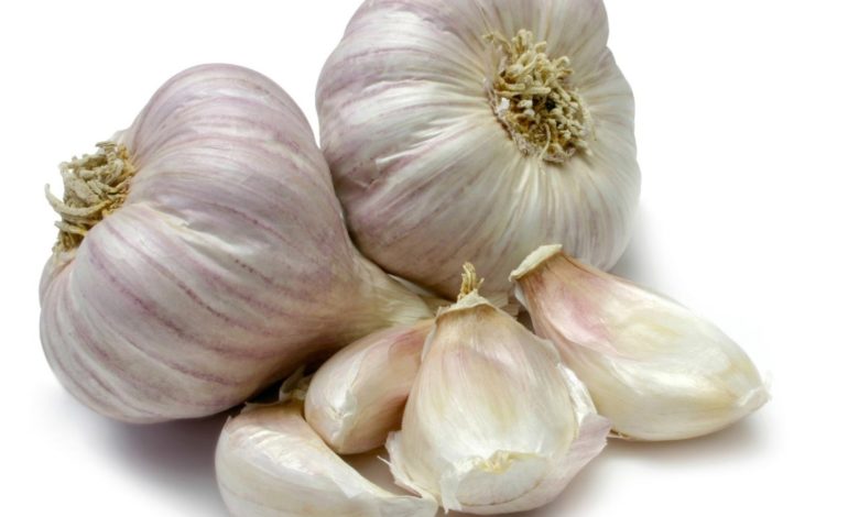 What is the thought you get when you think of garlic?